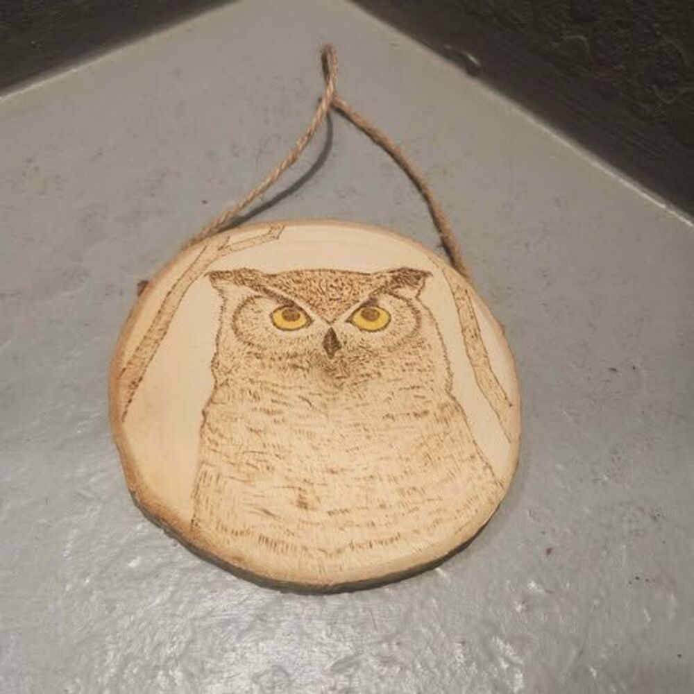 Owl Wood Burning Wall Art or Hanging Ornament Wood Slice
